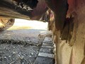 2017 Kelley Manufacturing 2500 Peanut Equipment