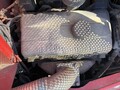 2017 Kelley Manufacturing 2500 Peanut Equipment