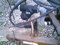 1995 Demco 800 Grain Cart