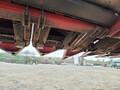 2010 Case IH 3412 Corn Head