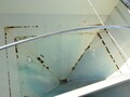  Friesen 240 Seed Tender