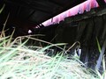 2009 Amity 3700 Beet Equipment