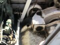 1971 American 5030 Crane