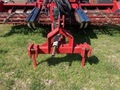 2020 Colombo TM Peanut Equipment