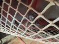 2021 Colombo TWIN MASTER FLEX BASKET Peanut Equipment