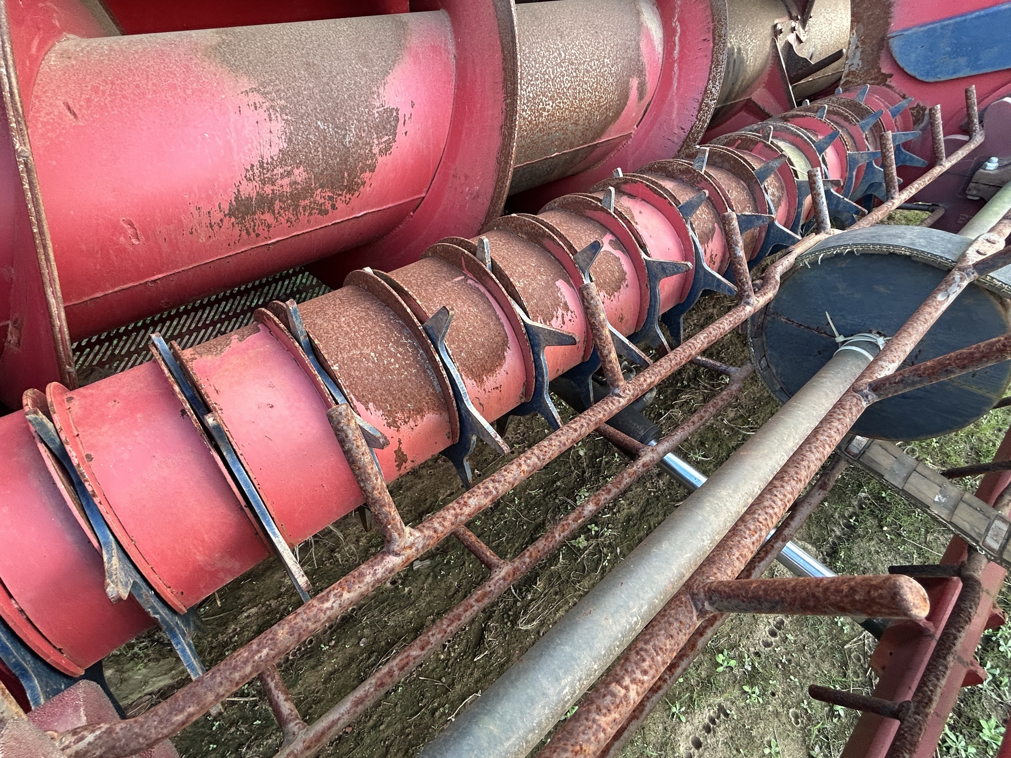 2020 Colombo TWIN MASTER FLEX BASKET Peanut Equipment