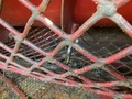 2020 Colombo TM Peanut Equipment