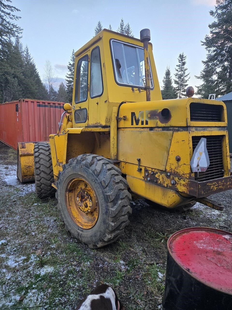 1974 Massey Ferguson MF33 Wheel Loader