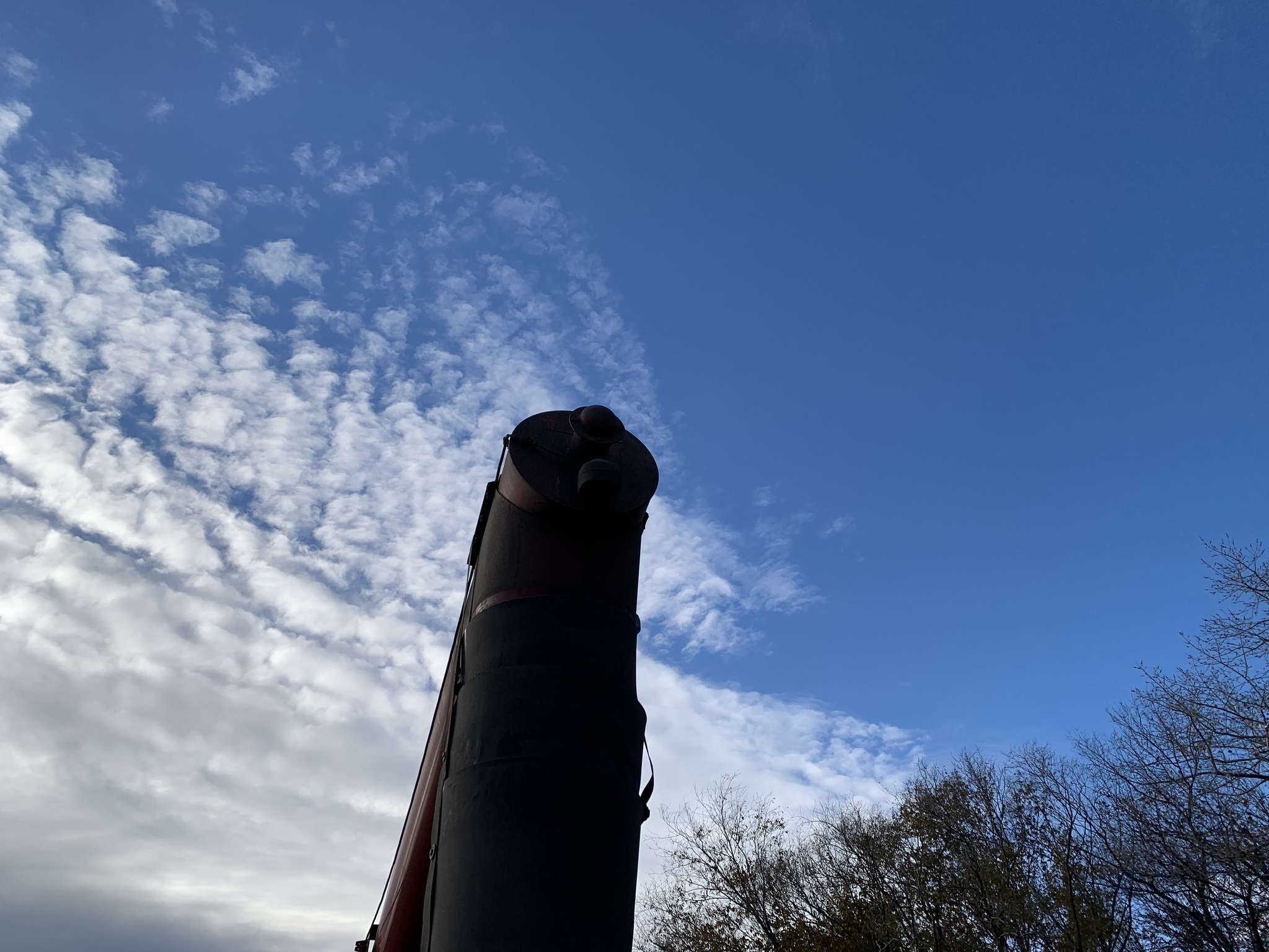 2013 Buhler Farm King 1684 Augers and Conveyor