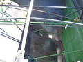  Brent 744 Gravity Wagon