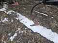 2021 Case IH Tiger-Mate 255 Field Cultivator