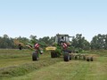 2024 Krone Swadro TC880 Rake