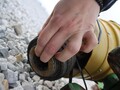  John Deere HX15 Rotary Cutter