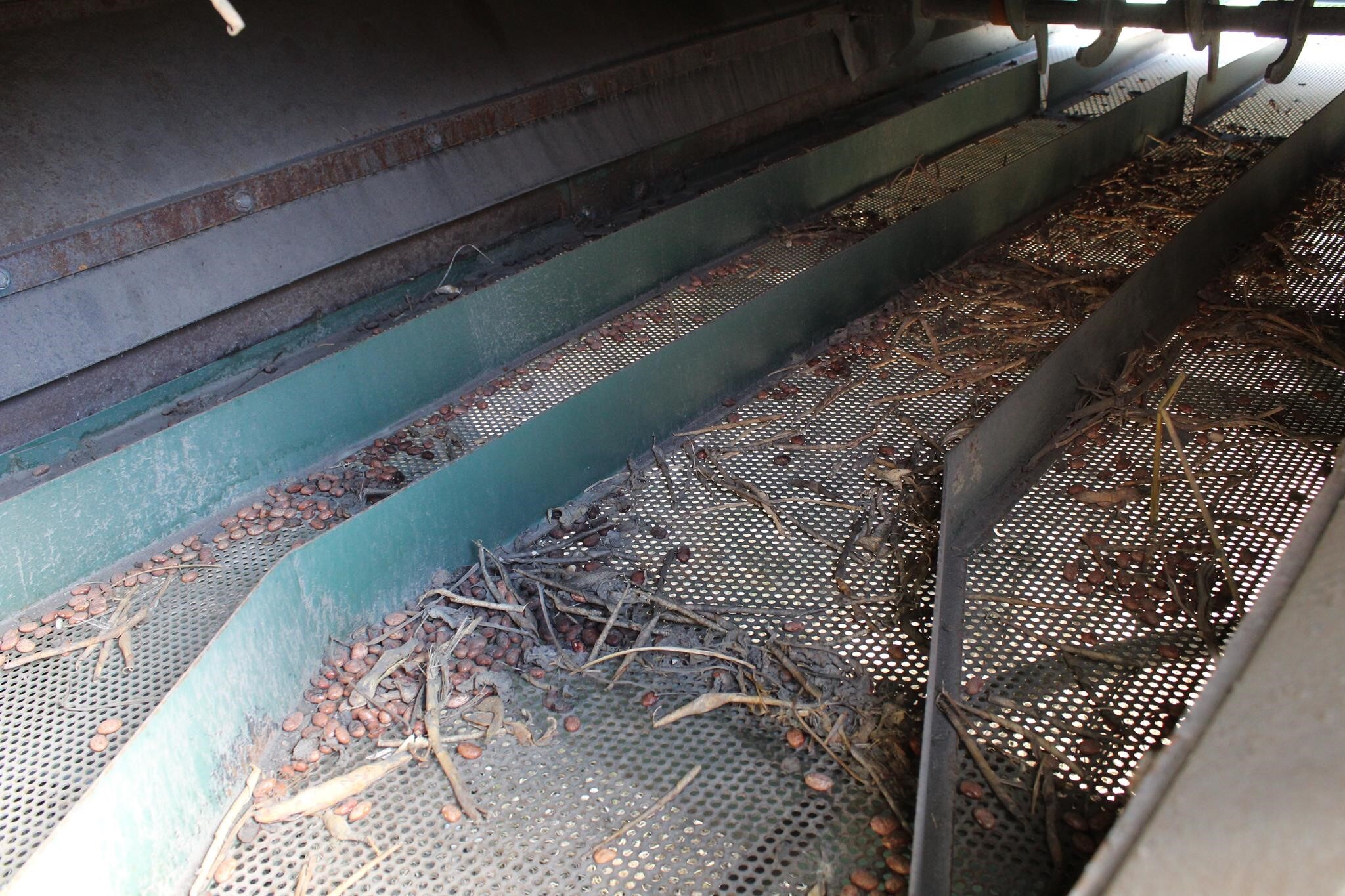 2002 Pickett DOUBLE MASTER PLUS Bean Bar Equipment