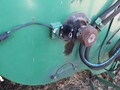 2002 Pickett DOUBLE MASTER PLUS Bean Bar Equipment