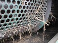2013 Pickett Twin Master Vegetable Equipment