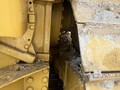 2019 Caterpillar D6N XL Dozer