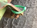  John Deere 444 Corn Head