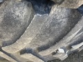  Goodyear LSW710/65R46 Wheels / Tires / Track