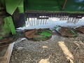 2022 John Deere F350R Disk Mower