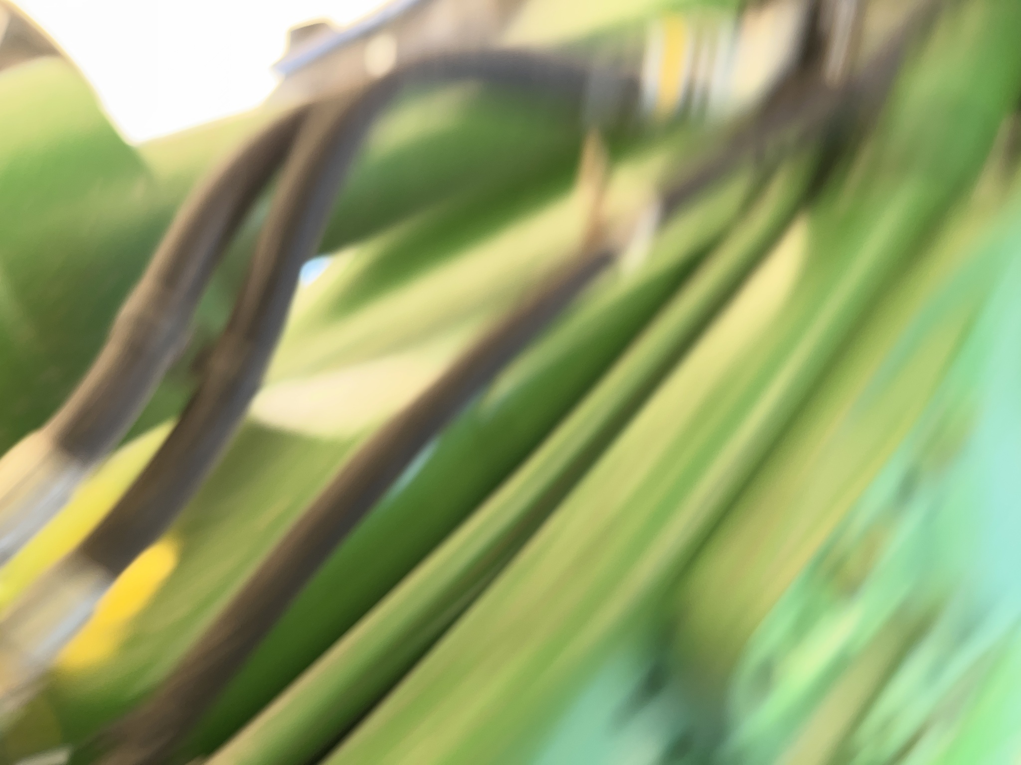 2023 John Deere 6155M Tractor