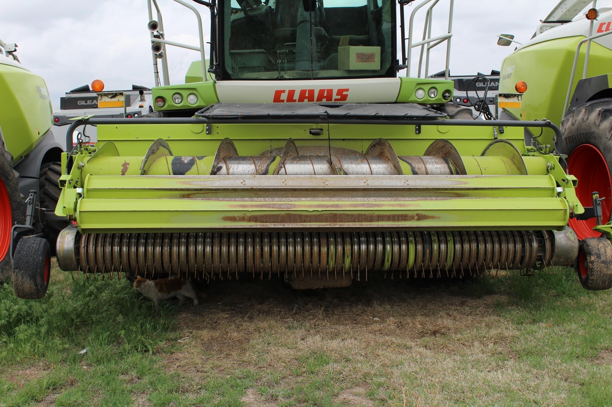 2021 Claas PU380 Forage Harvester Head