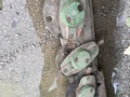 2021 John Deere R280 Disk Mower