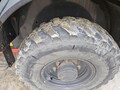 2019 Case 321F Wheel Loader
