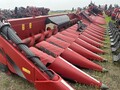 2020 Case IH 4412 Corn Head