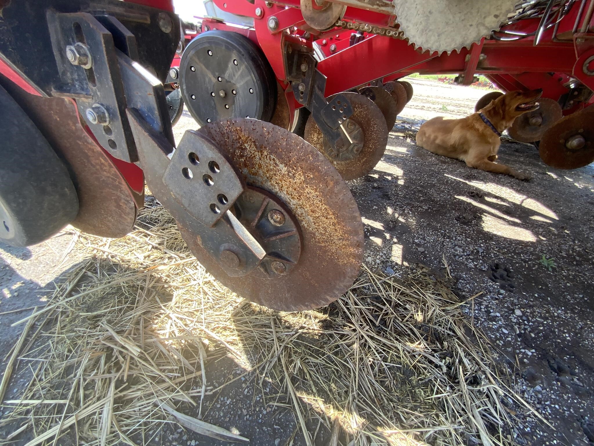 2011 White 8200 Planter