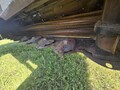 2021 MacDon R113 Mower Conditioner