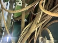 2023 Amadas 9990 Peanut Equipment