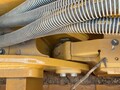 2024 Caterpillar D4 LGP Dozer
