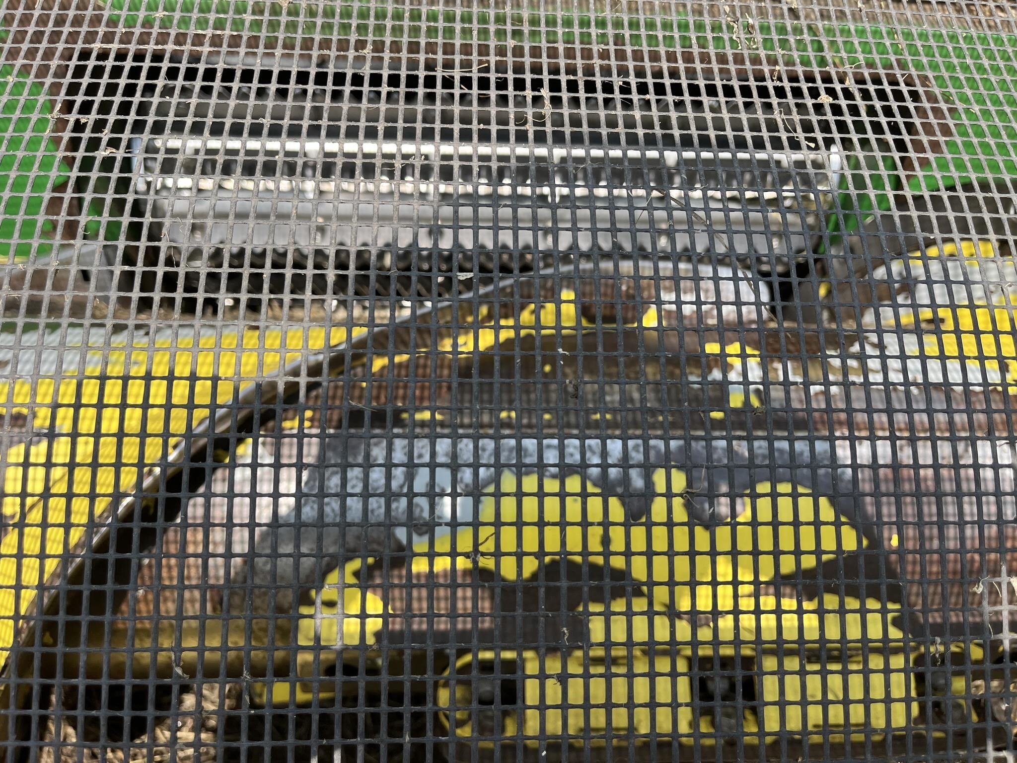 2016 Deere 649C Self-Propelled Forage Harvester