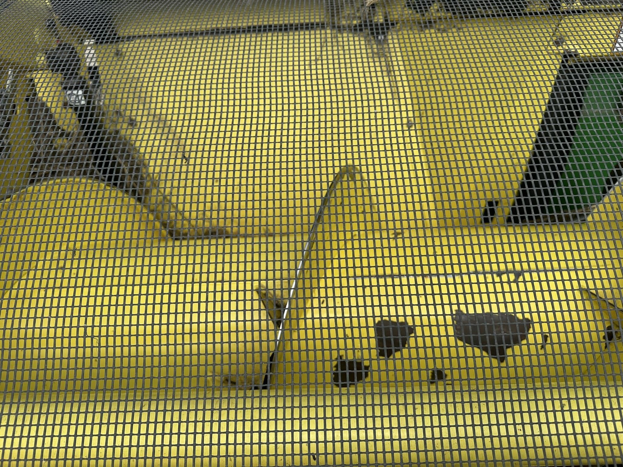 2016 Deere 649C Self-Propelled Forage Harvester