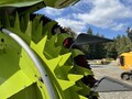 2016 Claas ORBIS 600 Forage Harvester Head