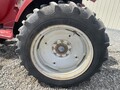  Case IH D29 Tractor