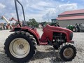  Case IH D29 Tractor