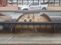 1991 Gleaner R320 Platform