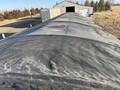 2020 Wilson Commander Grain Trailer