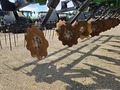 2024 John Deere 2730 Disk Chisel