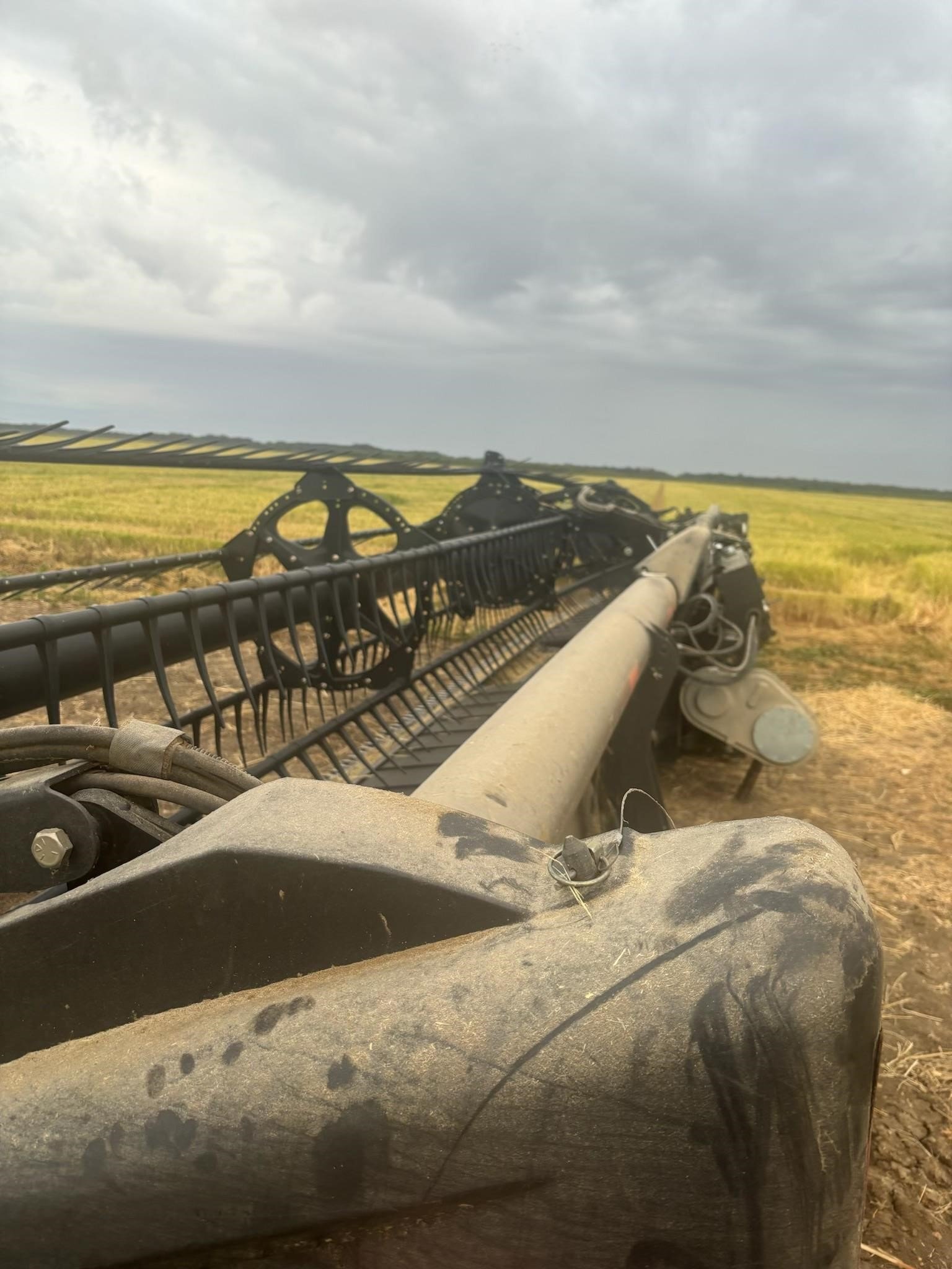 2015 MacDon FD75 Platform