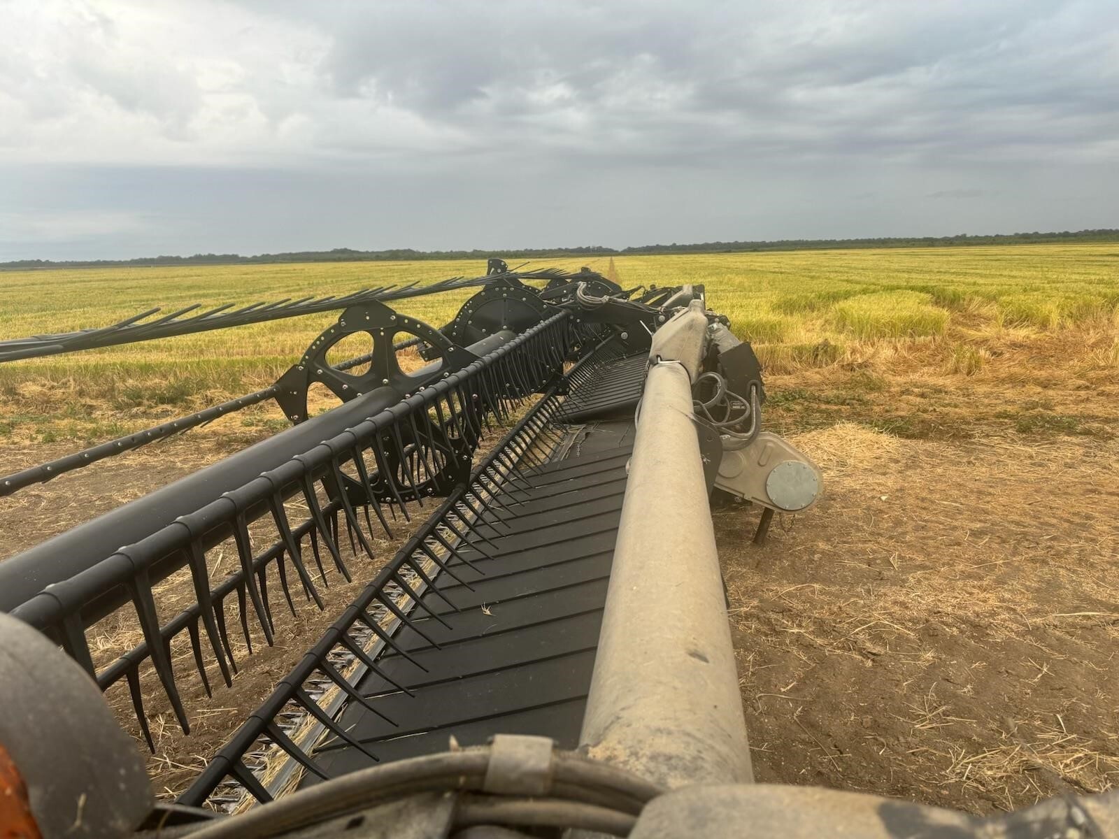 2015 MacDon FD75 Platform