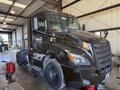 2020 Freightliner CASCADIA 116 Semi Trucks/Trailer