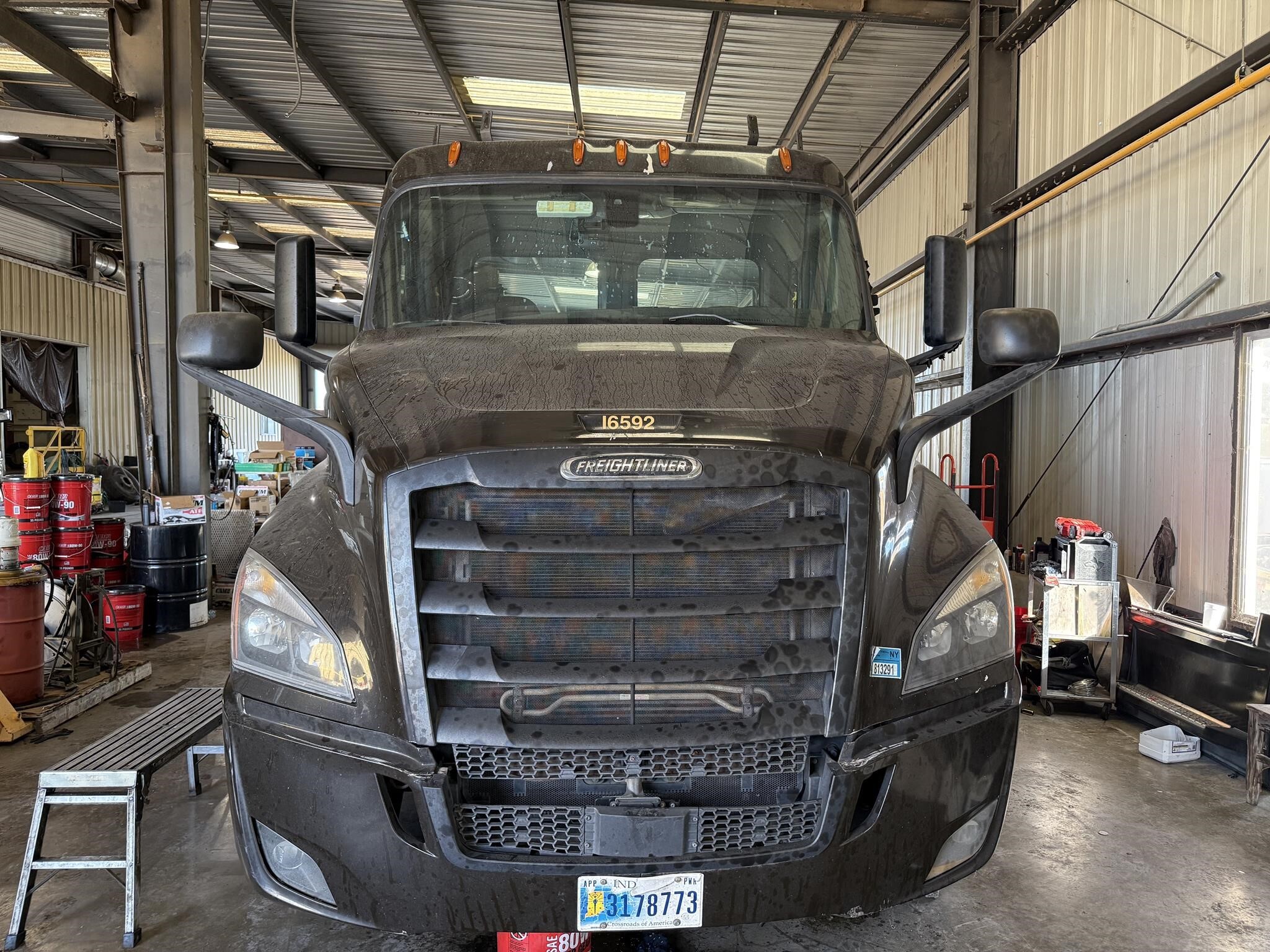 2020 Freightliner CASCADIA 116 Semi Trucks/Trailer