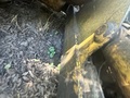 1988 Caterpillar D4C LGP Dozer