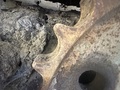 1988 Caterpillar D4C LGP Dozer