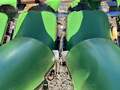 2010 John Deere 612C Corn Head