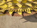 2022 John Deere 772 Corn Head