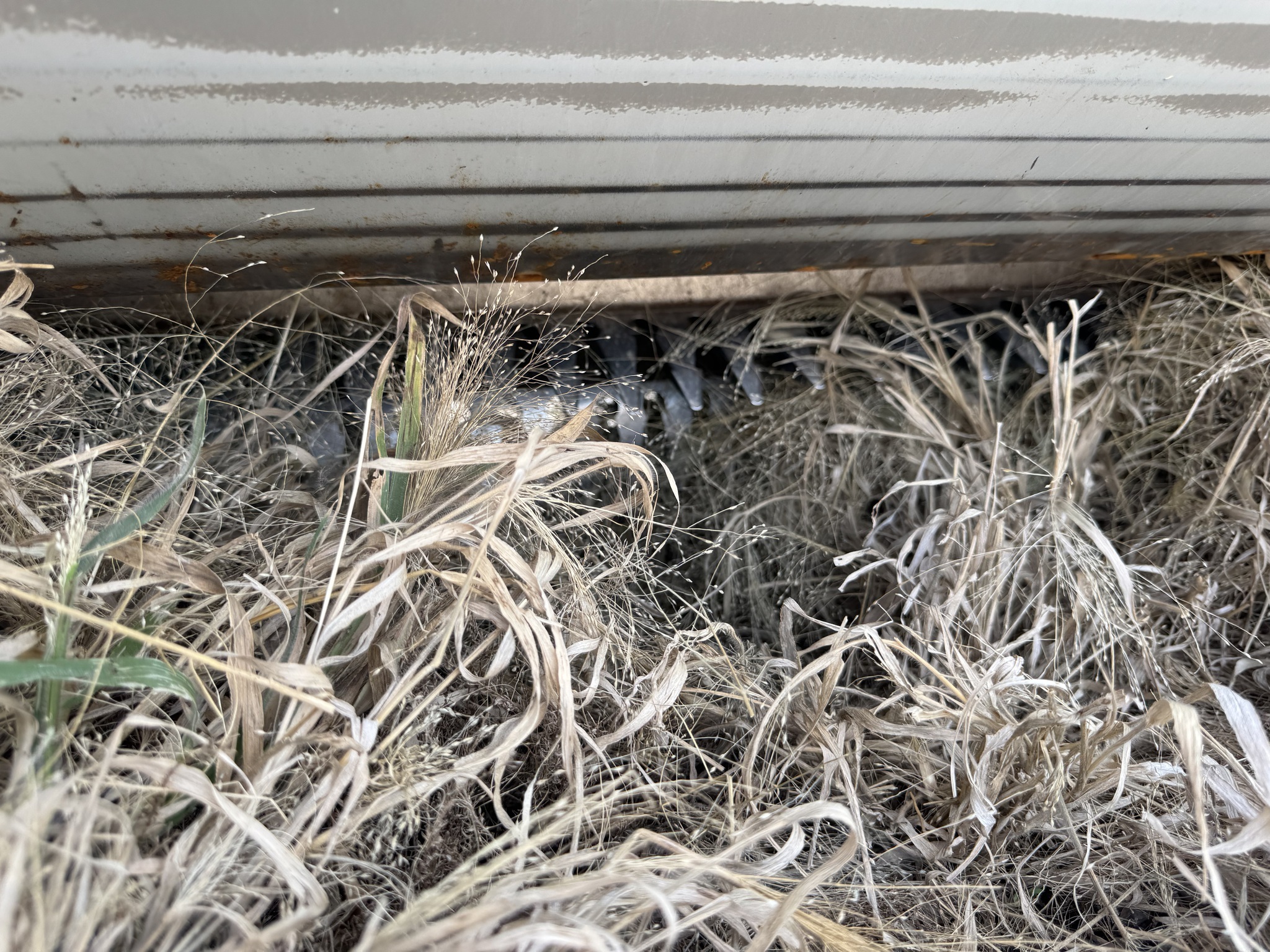 2024 Shelbourne XCS36 Platform